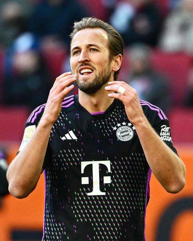 开花的阵容 开花的阵容