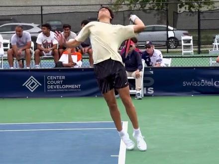 这只小棕熊 这只小棕熊